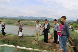 陜西省加強水產投入品監管 現場抽查工作助力畜牧漁業飼料安全銷售