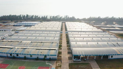 年銷售額達(dá)1.2億元，海威科技以創(chuàng)新引擎驅(qū)動(dòng)水產(chǎn)種業(yè)振興